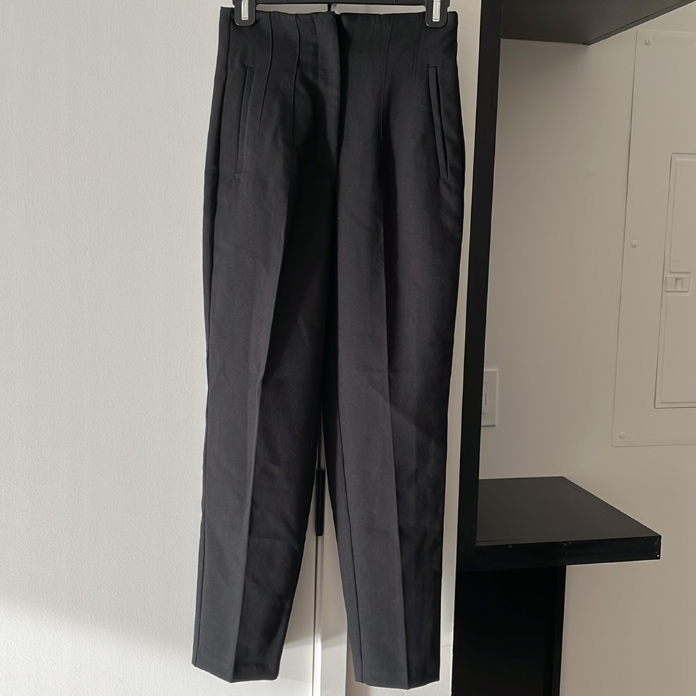NWT Zara high waisted pants with darts